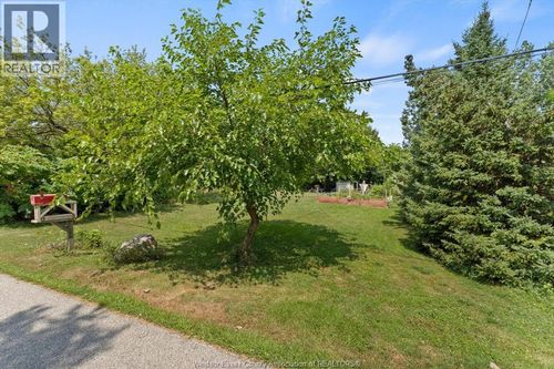 {{alt}} | Card Image