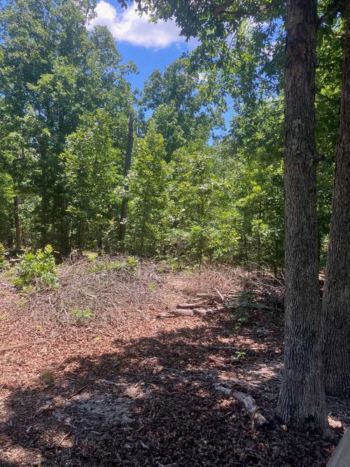 TBD Red Fox Rd, Hardy, AR, 72542 | Card Image