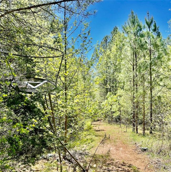 612 Mckenzie Rd, House other with 3 bedrooms, 2 bathrooms and null parking in Ninety Six SC | Image 33