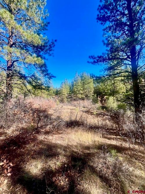 152 Lane Dr, Durango, CO, 81303-7638 | Card Image