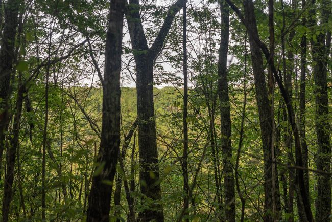 0 Middle Ridge Rd, Home with 0 bedrooms, 0 bathrooms and null parking in Beersheba Springs TN | Image 21