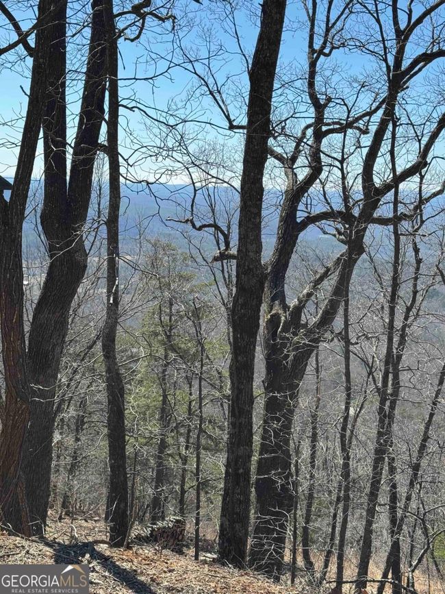 7349 Starlight Ln, Home with 0 bedrooms, 0 bathrooms and null parking in Jasper GA | Image 9