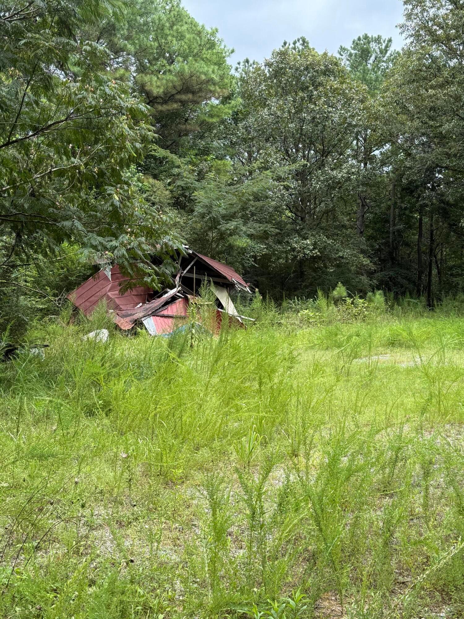 Land in Double Springs 4