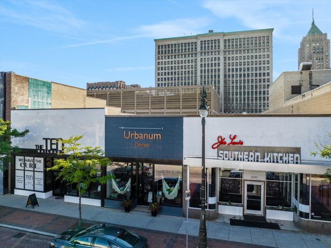 APT-4 - 2843 E Grand Blvd, Condo with 2 bedrooms, 2 bathrooms and null parking in Detroit MI | Image 31