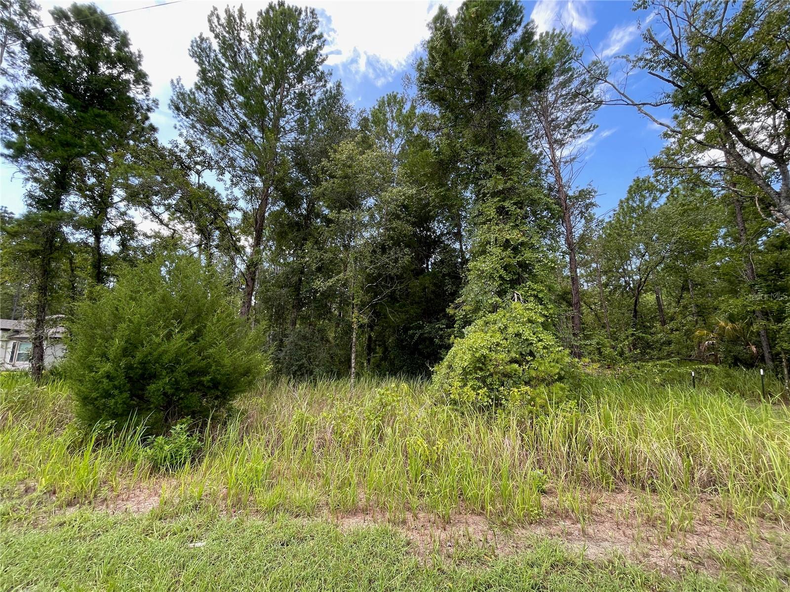 Land in WEEKI WACHEE 4