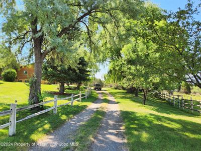 The road less traveled! | Image 1