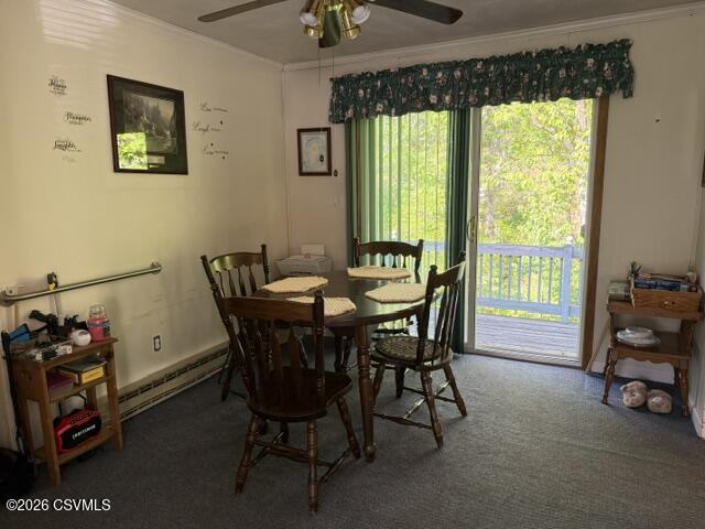 Residential in Selinsgrove 5