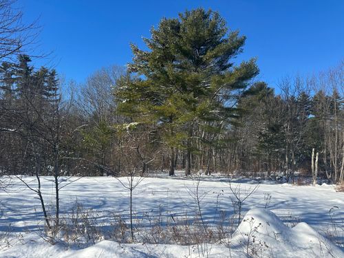 18204 Main Street, Fryeburg, ME, 04037 | Card Image