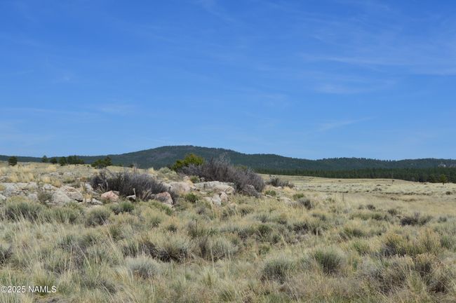 2 E Tanner Ranch Rd, Home with 0 bedrooms, 0 bathrooms and null parking in Parks AZ | Image 31