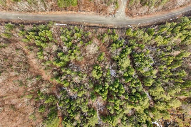Lot 109 Steeple View Dr, Home with 0 bedrooms, 0 bathrooms and null parking in Bethlehem NH | Image 6