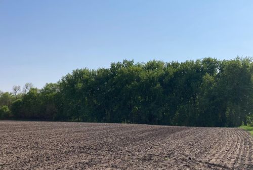 Lot 6&7 Mckinney Dr, Windom, MN, 56101 | Card Image