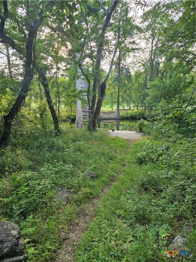 Summer in the park. | Image 5