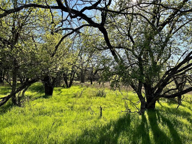 Lot 13 Cr 127, Home with 0 bedrooms, 0 bathrooms and null parking in Carlton TX | Image 20