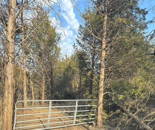 2556 Birch St, Doe Run, MO, 63637-3166 | Card Image