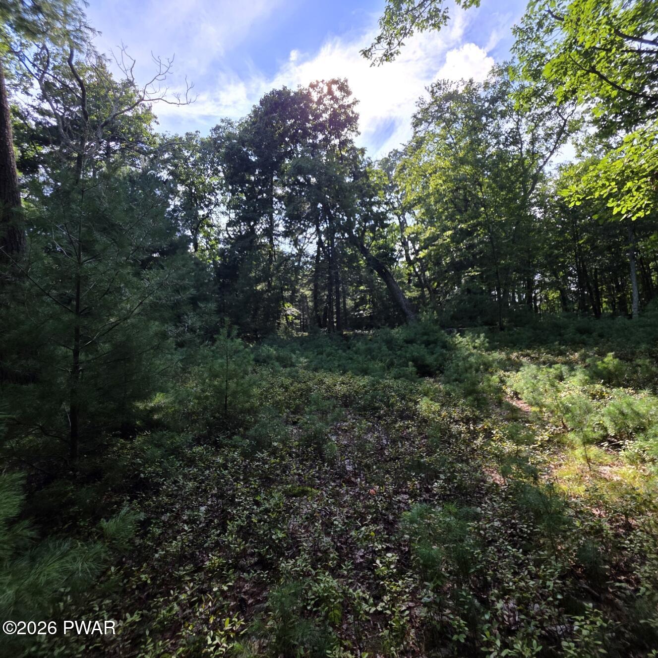 Land in Dingmans Ferry