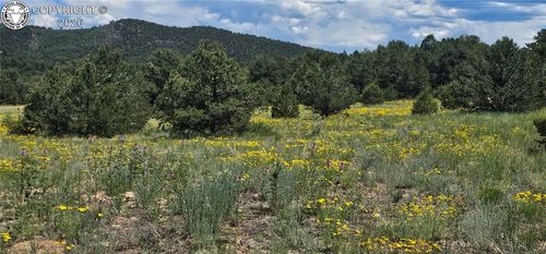 145 Bonanza Rd, Cotopaxi, CO, 81223 | Card Image