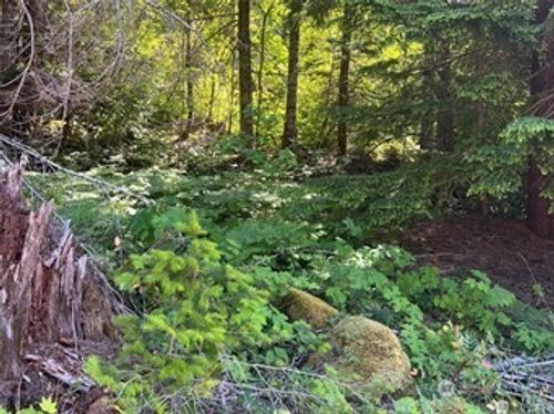 103 Ridge Ln, Packwood, WA, 98361 | Card Image