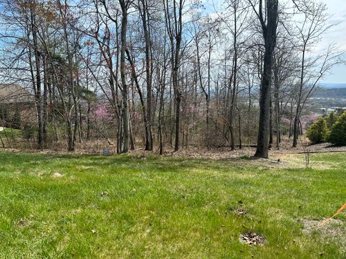 Lot 50 Summit Dr, Rocky Mount, VA, 24151 | Card Image