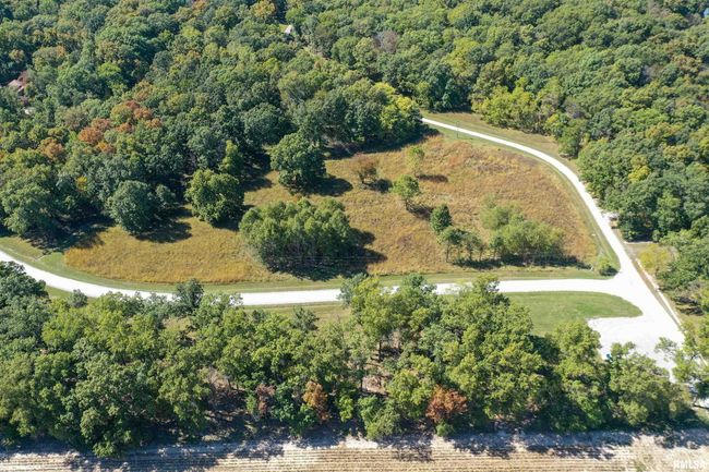 Lot 40 B Deer Park Drive, Home with 0 bedrooms, 0 bathrooms and null parking in Dix IL | Image 10