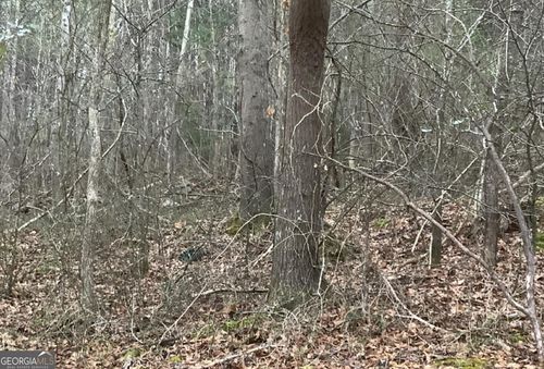 280 Nixon St, Summerville, GA, 30747-2033 | Card Image