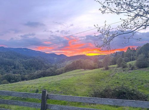 9198 Fort Seward Rd, Blocksburg, CA, 95514-9306 | Card Image