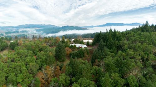 5290 Goodrich Hwy, Oakland, OR, 97462-9659 | Card Image