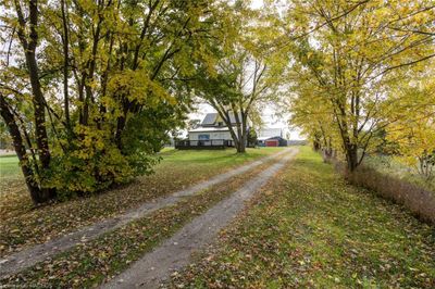 4113 Highway 9, House other with 4 bedrooms, 1 bathrooms and 6 parking in Holyrood ON | Image 3