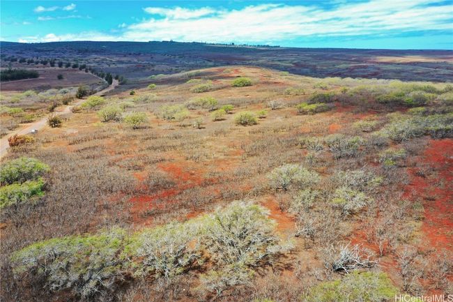 LOT-38 - 000 Kalua Koi Rd, Home with 0 bedrooms, 0 bathrooms and null parking in Maunaloa HI | Image 4