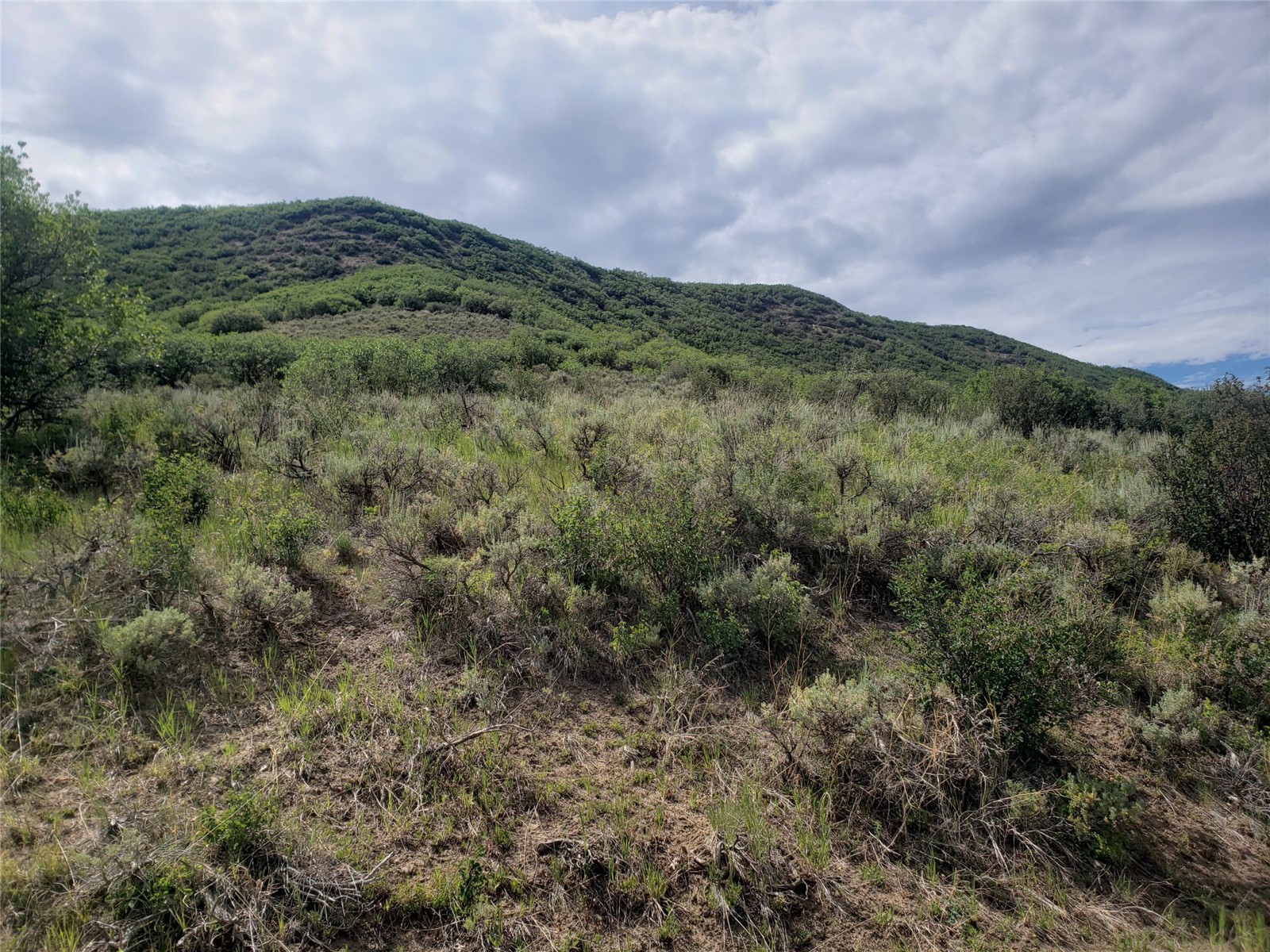 Land in Oak Creek 2