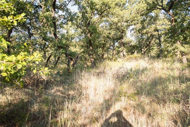 1020 Post Oak Rd, Home with 0 bedrooms, 0 bathrooms and null parking in Gordon TX | Image 13