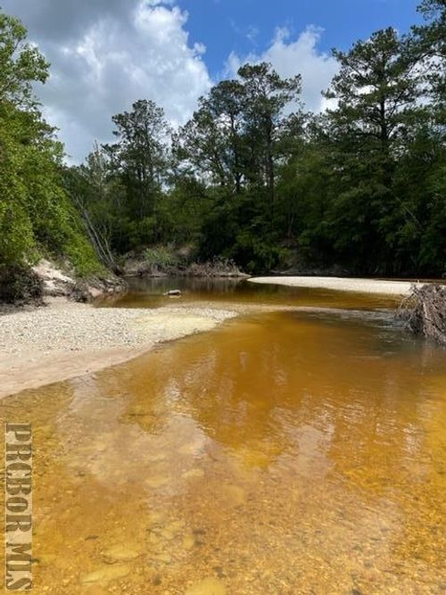 0 Four Feathers Ranch Road, Poplarville, MS, 39470 | Card Image