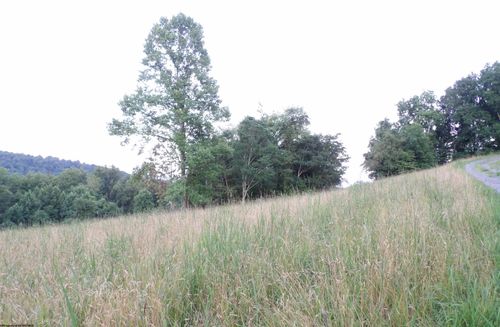 TBD Lakeview Dr, Grafton, WV, 26354 | Card Image