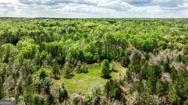 0 Kemp Rd, Home with 0 bedrooms, 0 bathrooms and null parking in Buena Vista GA | Image 27