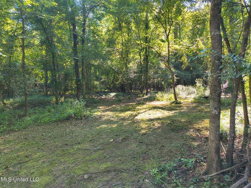 0 Carter Lake Dr, Lucedale, MS, 39452 | Card Image