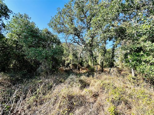TBD County Road 429, Cross Plains, TX, 76443 | Card Image