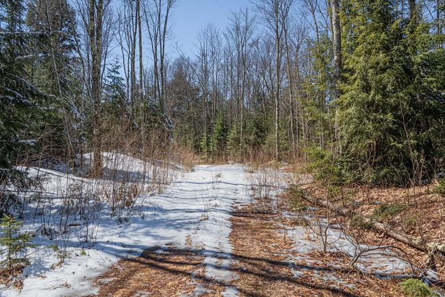 160-acre Pleasant Lake Rd, Home with 0 bedrooms, 0 bathrooms and null parking in Upson WI | Image 35