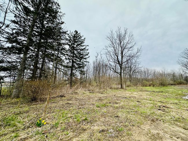 9605 Holden Rd, Home with 0 bedrooms, 0 bathrooms and null parking in Baroda MI | Image 6