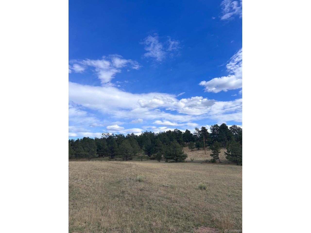 Land in Florissant 3