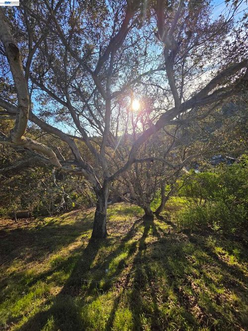 0 0 Longfellow Dr, Belmont, CA, 94002 | Card Image
