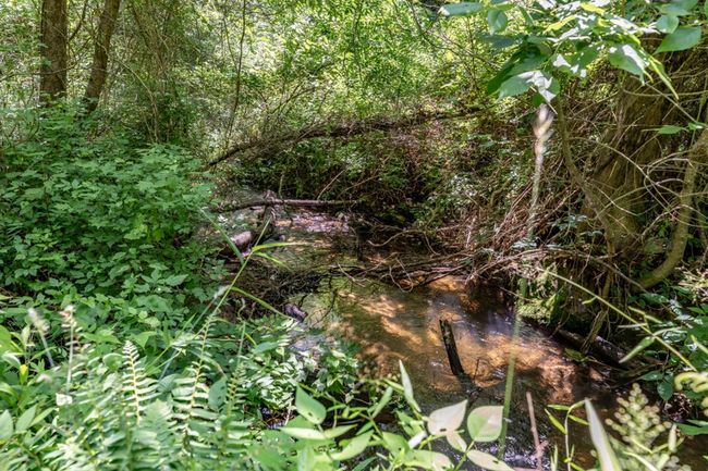 26.18 AC Green Road, Home with 0 bedrooms, 0 bathrooms and null parking in Young Harris GA | Image 4