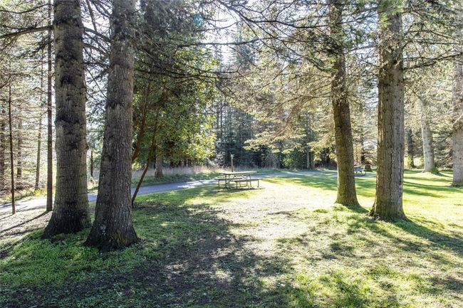 0 Pinnell Rd, Home with 0 bedrooms, 0 bathrooms and null parking in Sequim WA | Image 17