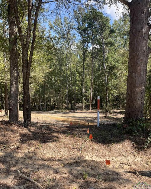 TBD E Broadway St, Winnsboro, TX, 75494 | Card Image