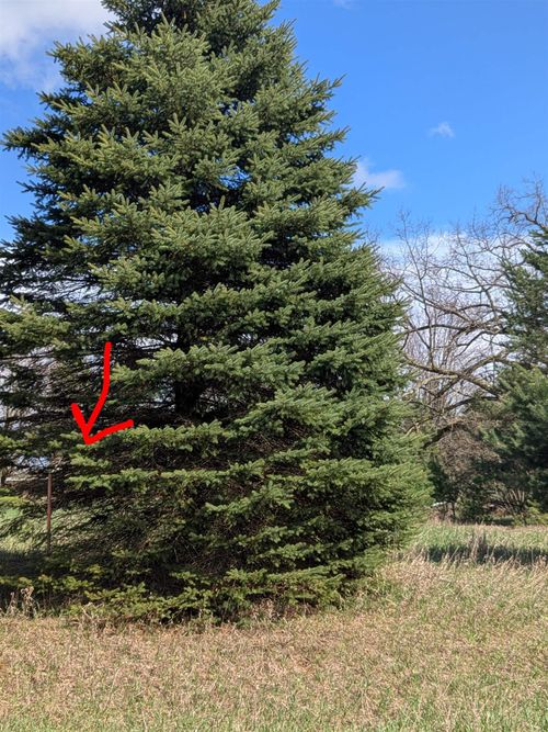 1003 Kent St, Weidman, MI, 48893-9363 | Card Image