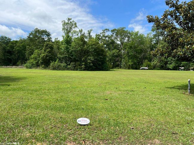0 Cleyera Drive, Home with 0 bedrooms, 0 bathrooms and null parking in Magnolia Springs AL | Image 9