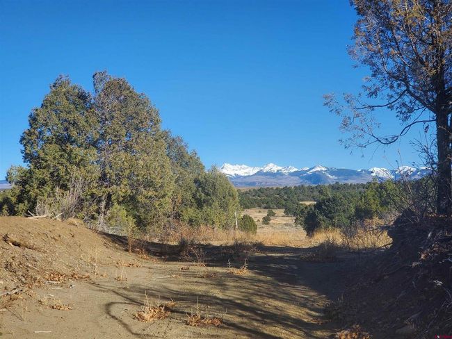 13989 Road 35.6, Home with 0 bedrooms, 0 bathrooms and null parking in Mancos CO | Image 24
