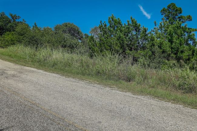20 Tall Forest Dr, Home with 0 bedrooms, 0 bathrooms and null parking in Bastrop TX | Image 19