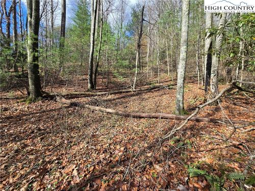 25 Riverstone Dr, Laurel Springs, NC, 28644 | Card Image