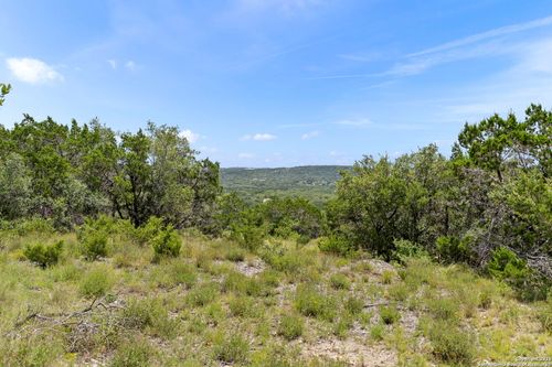 831 Lovett Ridge Rd, Bulverde, TX, 78163-3099 | Card Image