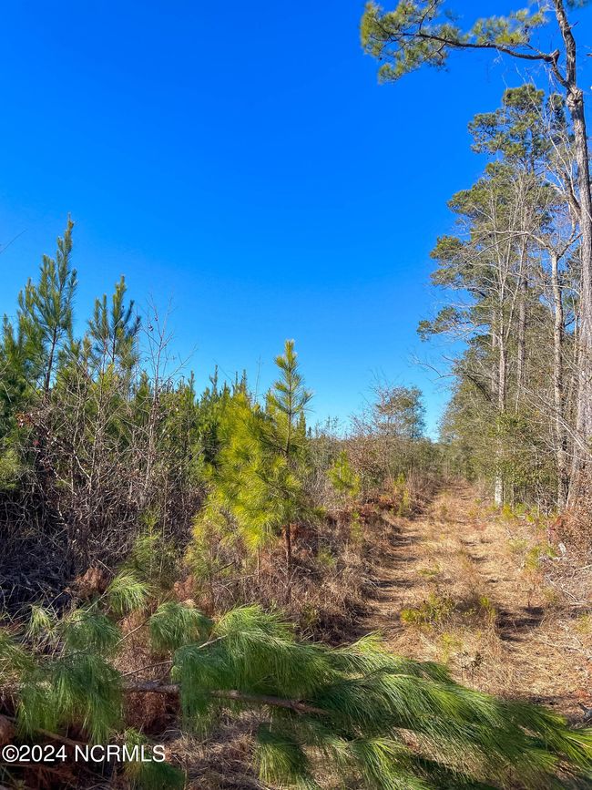 00 Sykes Town Rd, Home with 0 bedrooms, 0 bathrooms and null parking in Currie NC | Image 51