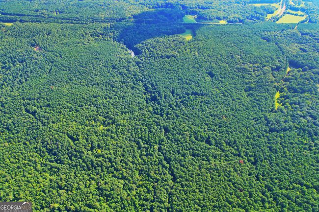 198.62+/- ACRES Apalachee Woods Trl, Home with 0 bedrooms, 0 bathrooms and null parking in Buckhead GA | Image 5